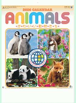 ¥«¥ì¥ó¥À¡¼É½»æ¼Ì¿¿