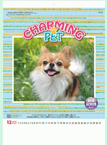 ¥«¥ì¥ó¥À¡¼É½»æ¼Ì¿¿