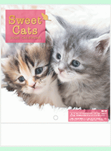 ¥«¥ì¥ó¥À¡¼É½»æ¼Ì¿¿